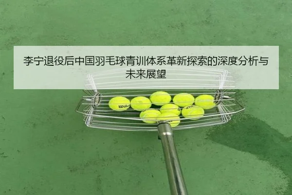 李宁退役后中国羽毛球青训体系革新探索的深度分析与未来展望