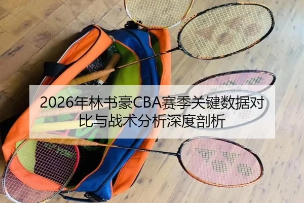 2026年林书豪CBA赛季关键数据对比与战术分析深度剖析